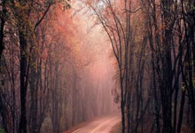 作为王者荣耀的粉丝