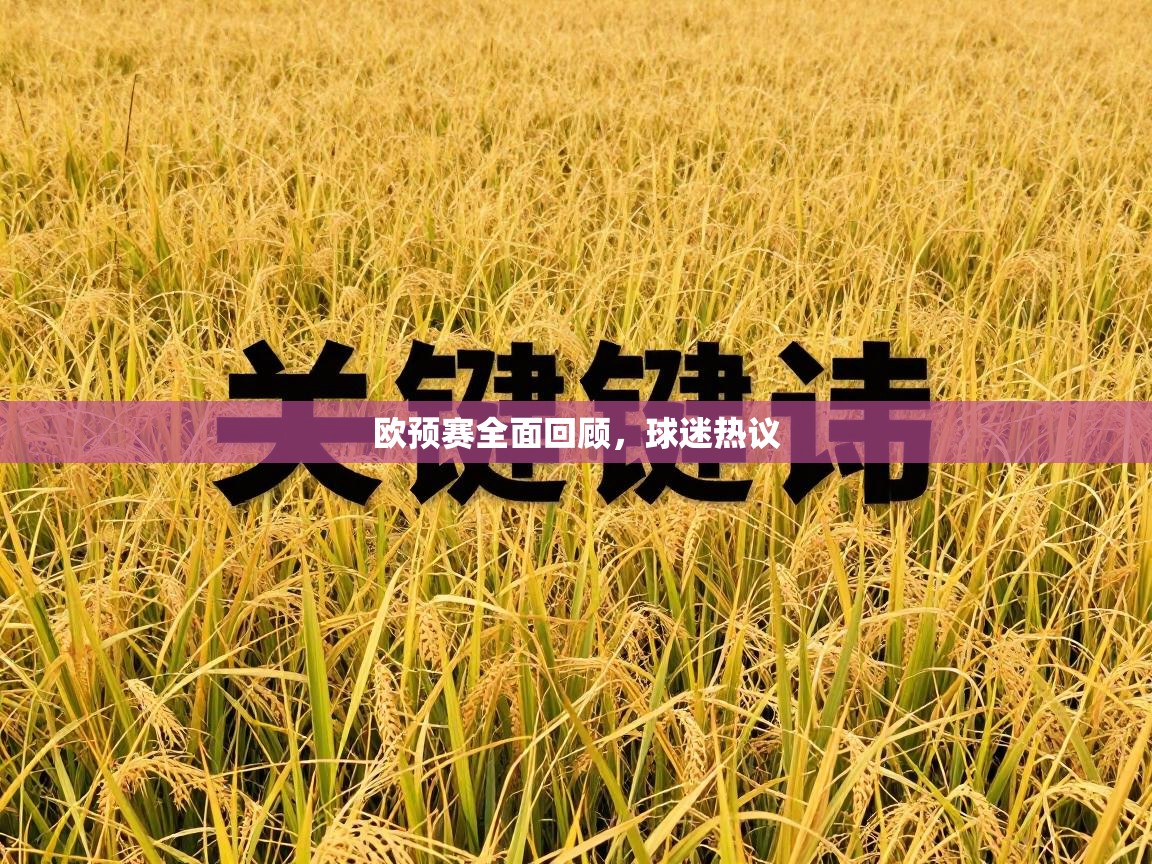 欧预赛全面回顾，球迷热议  第1张